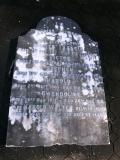 image of grave number 780035